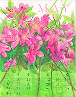 Ling Chang: Calendars: Bouquet Calendar: Details